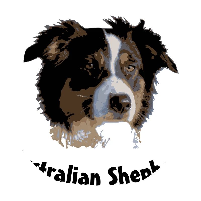 australian shepherd aussie sheep herd cattle