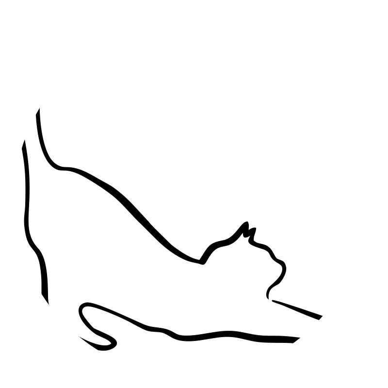 Katze