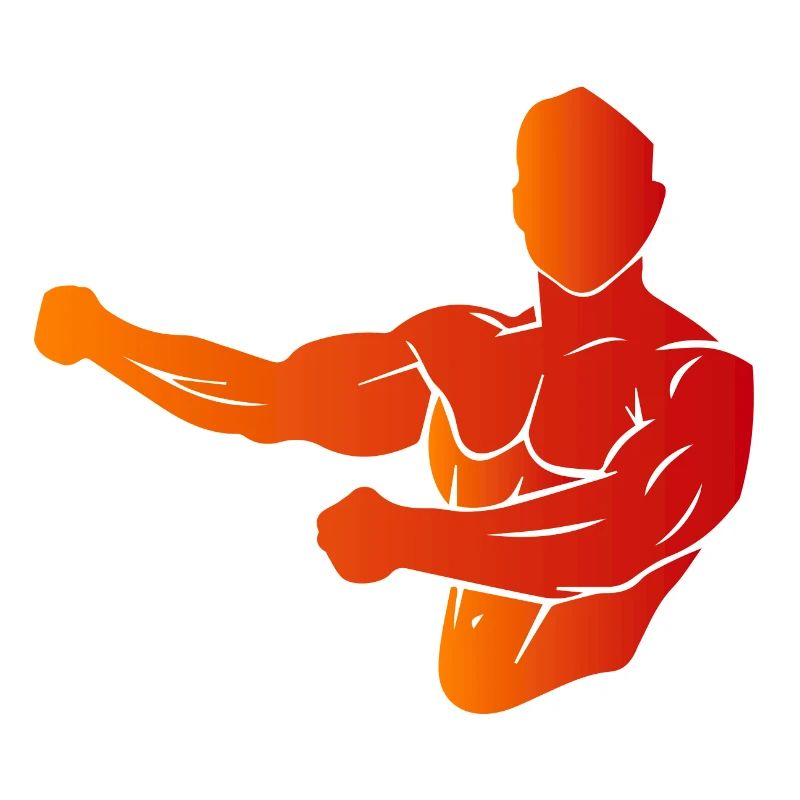 Musculation