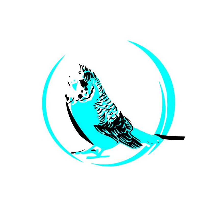 budgerigar