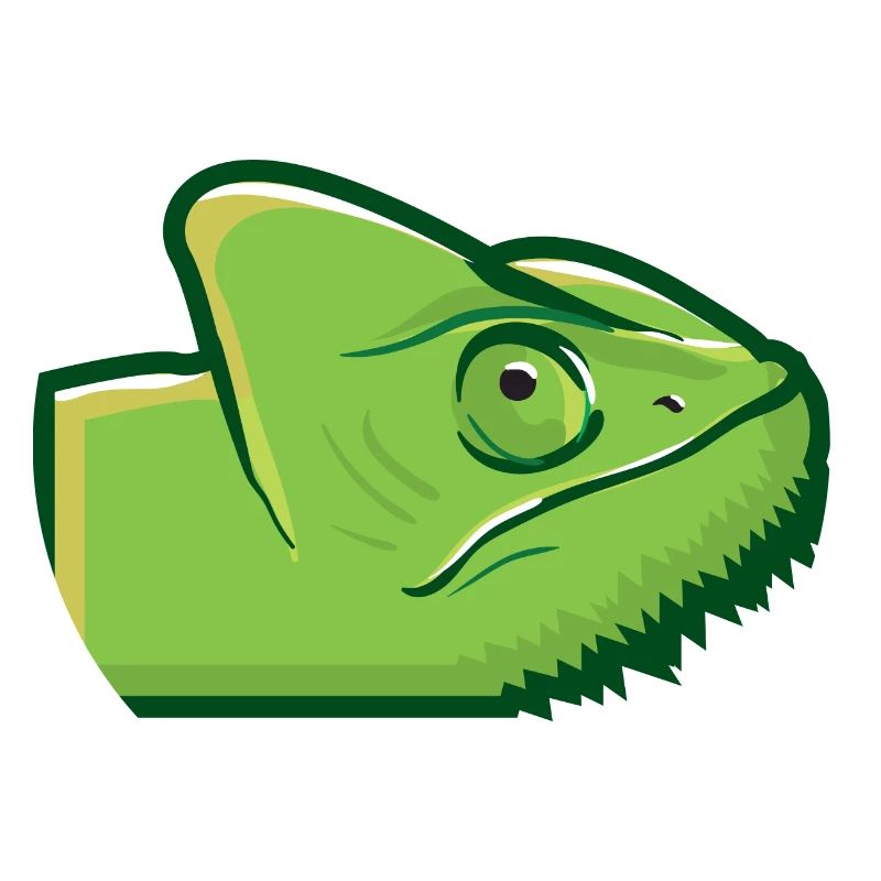 Green chameleon head lizard lizard green gift