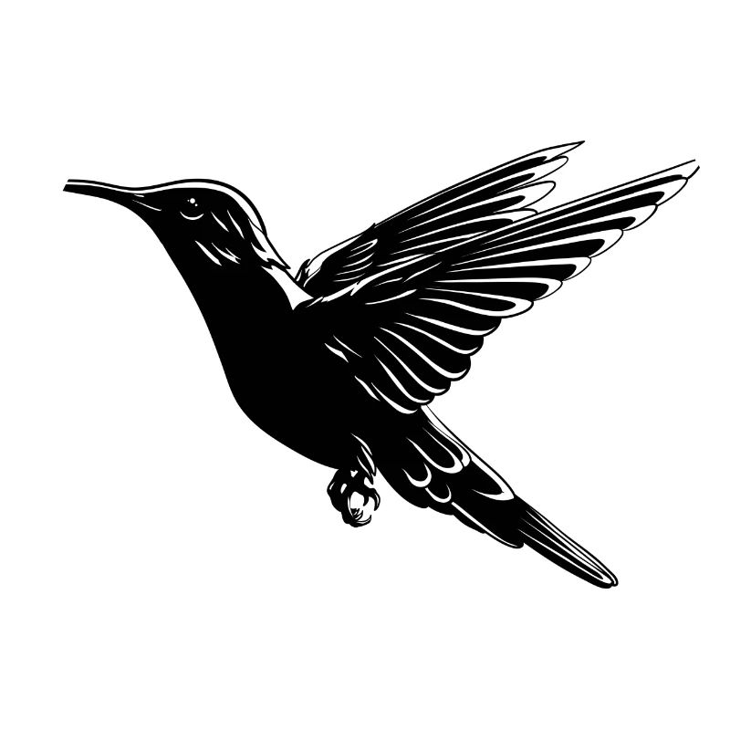 Kolibri Vogel