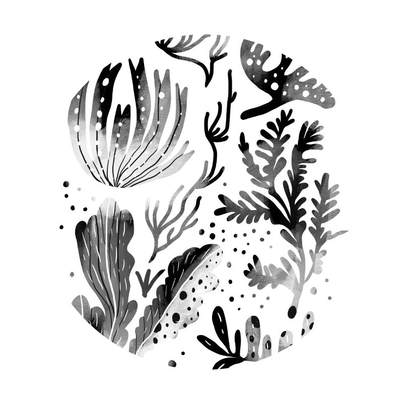 Algae underwater diving