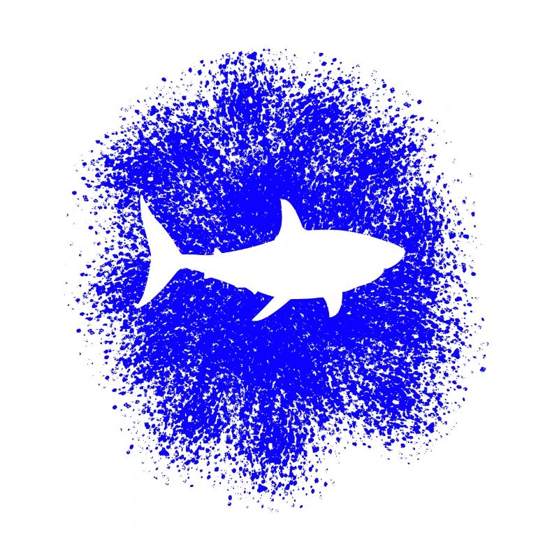 Requin requin dans la mer