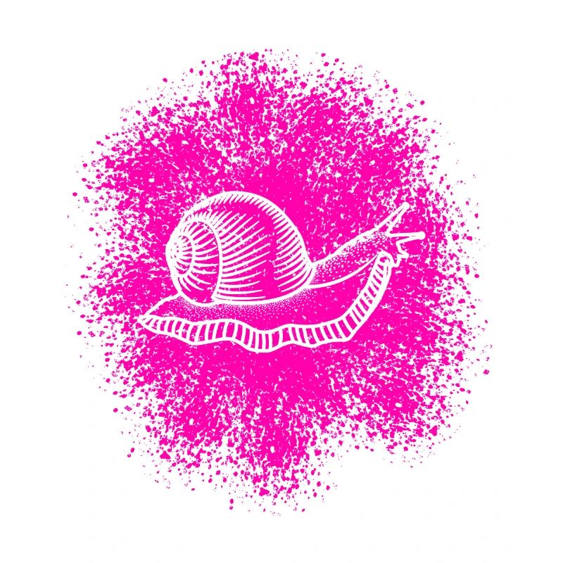 Cute snail with snail shell