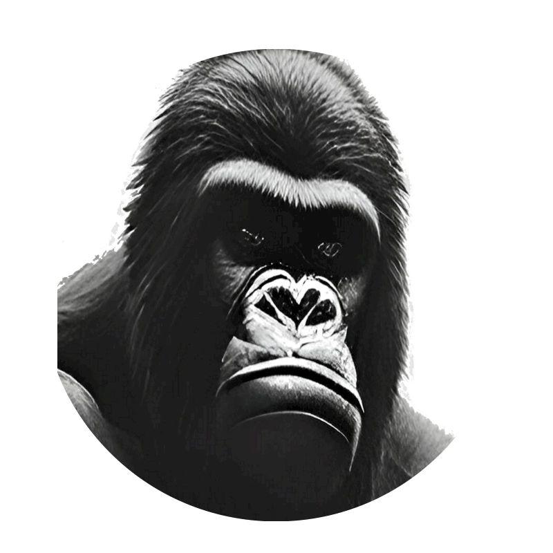 Silverback Gorilla