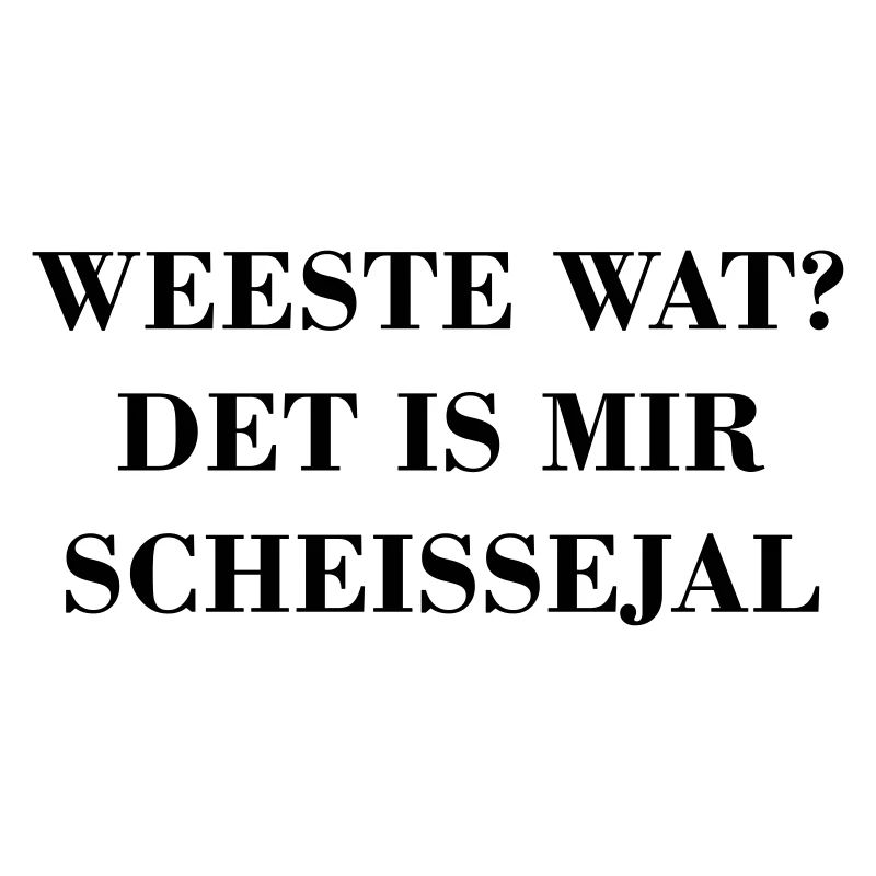 Berlin Berlinerisch scheissejal Lustig Spruch