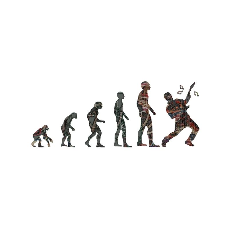 Evolution Rockgitarre