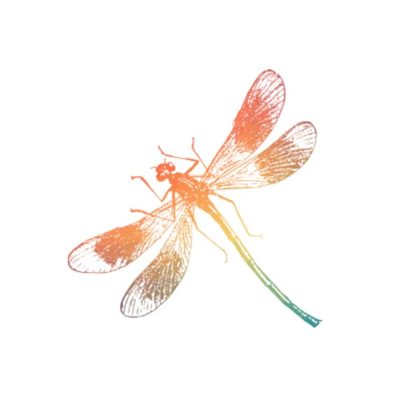 Bunte Regenbogen Libelle