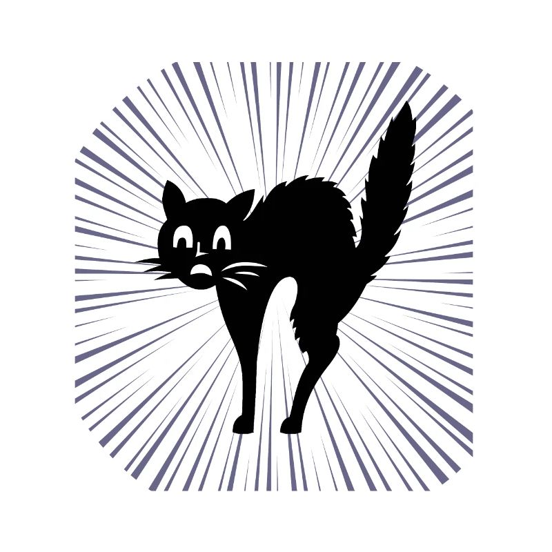 Chat noir