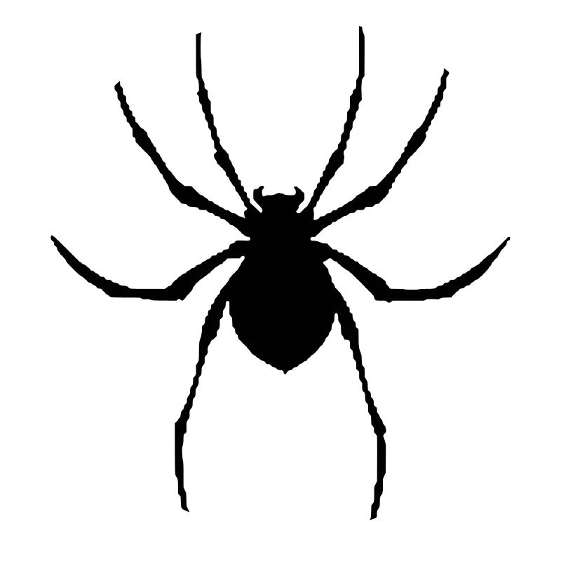 Spider graphique vectoriel