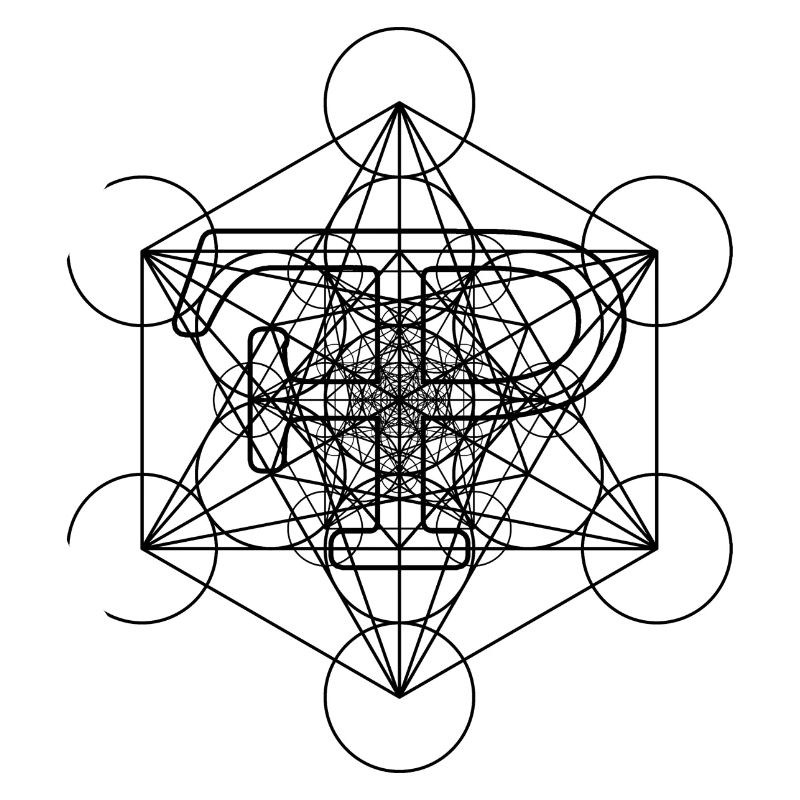 FramePace Metatron's Cube Schwarz