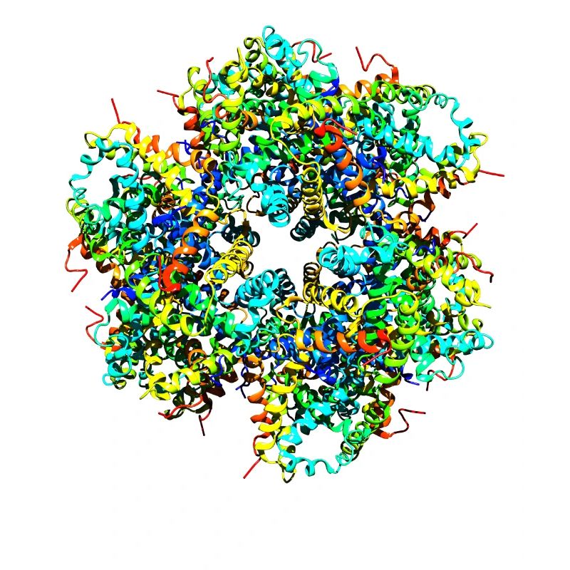Protéine cool molécule chimie Nerd Hémoglobine