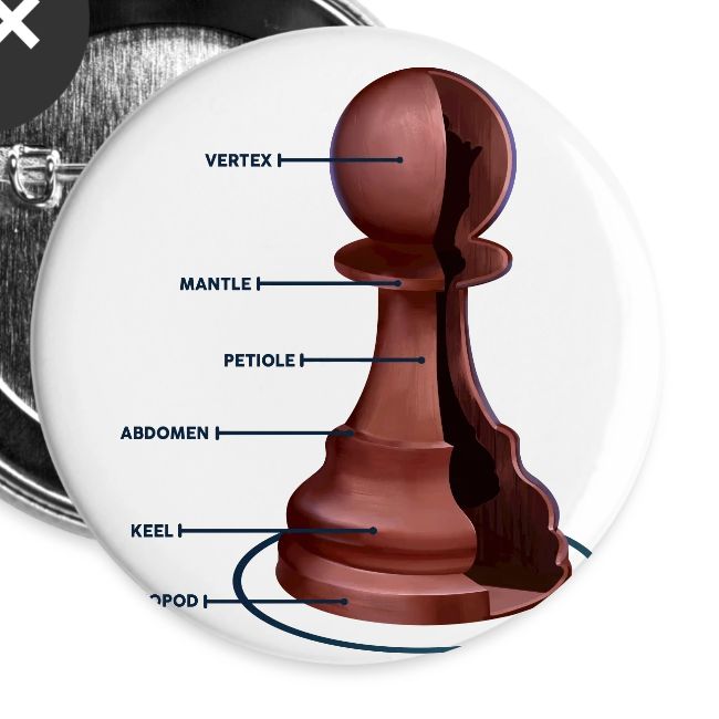 Lichess Pawn