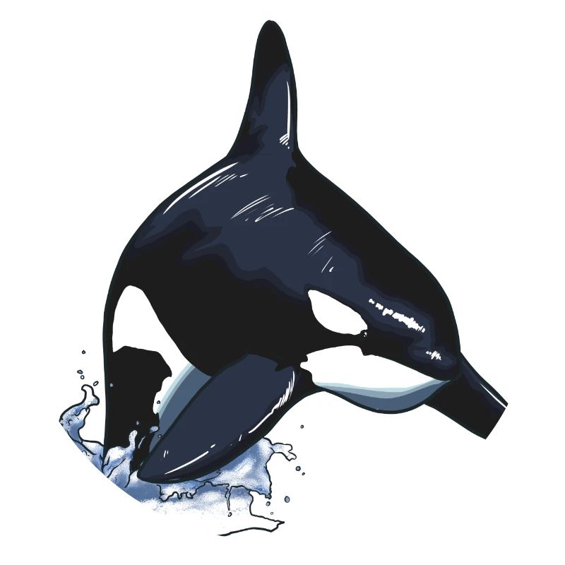 Orca Killer Whale Killer Whale Jump