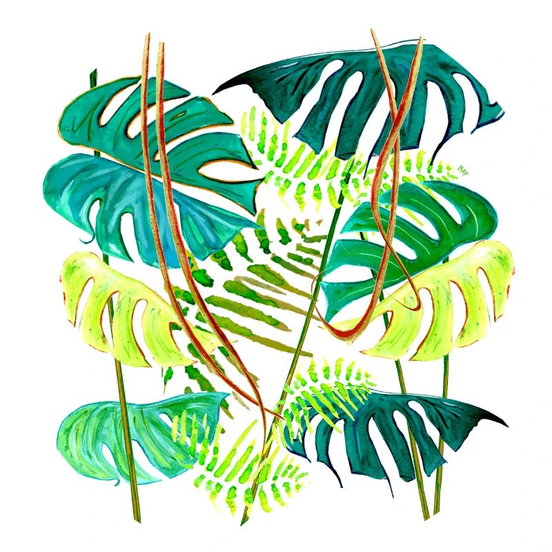 forêt tropicale monstera