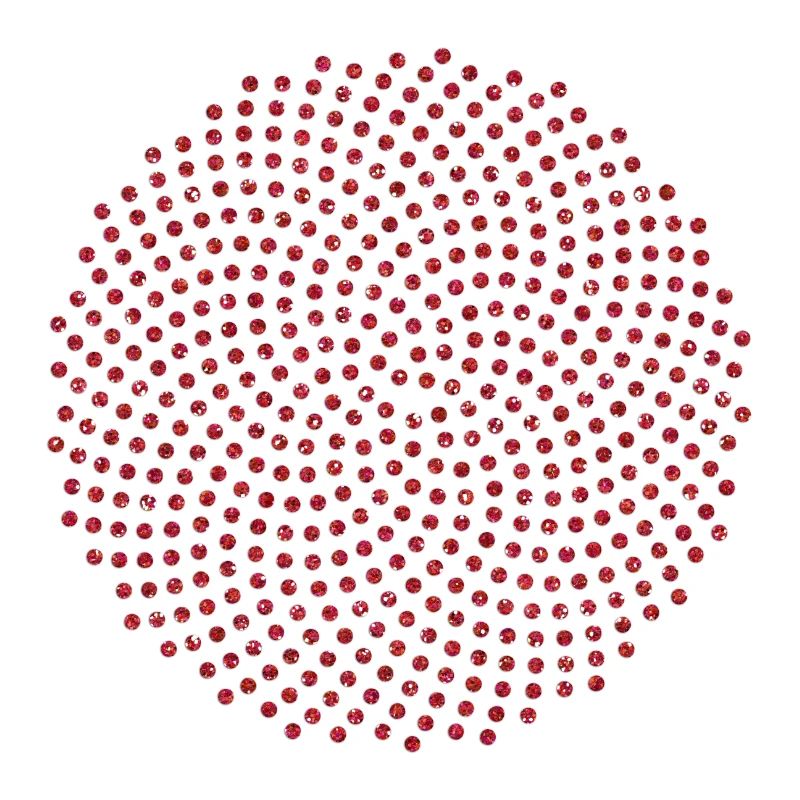 Fibonacci Mathematik Sonnenblume Phi Spirale Mathe