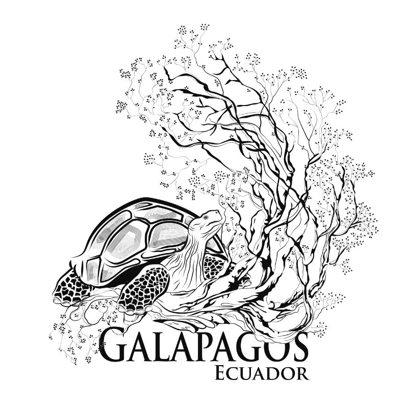 GLPS turtle and dry tree