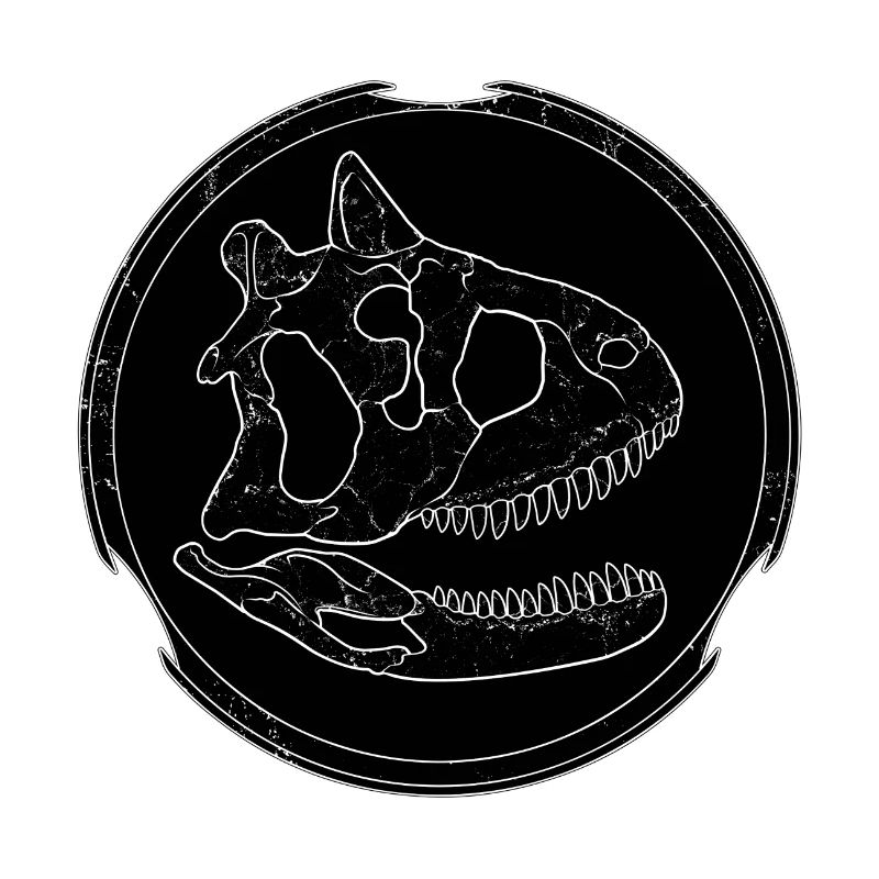 Carnotaurus Fossil Schädel