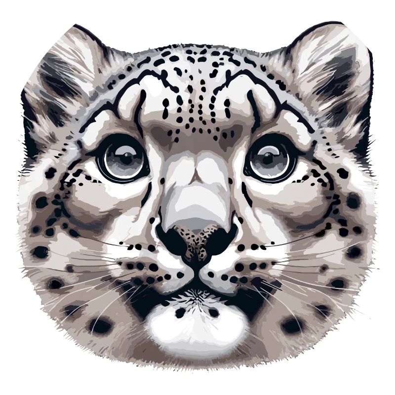 Schneeleopard Leopard Weißer Leopard