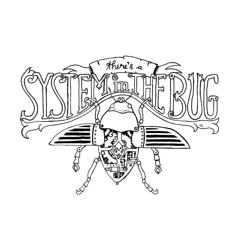 System in the Bug