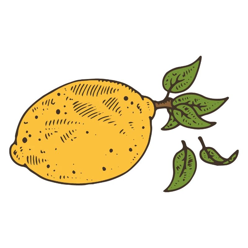 Lemon Lemon Tree Fruit lemon