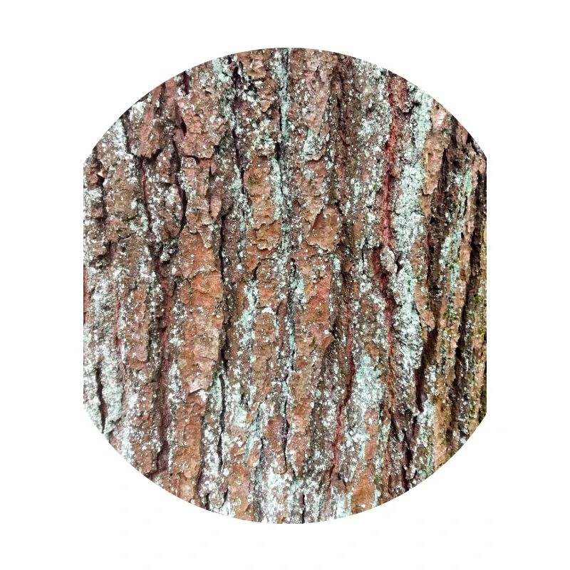 Baum, Holz, Borke, Rinde, Muster