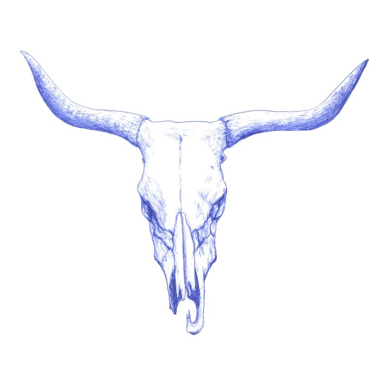 Bison Schaedel - Wild West Cowboy Rodeo Feeling