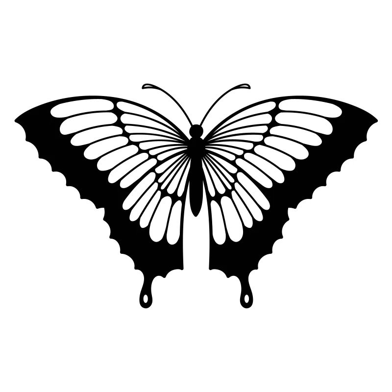Papillon Noir/Transparent Aux Ailes Déployées N°2