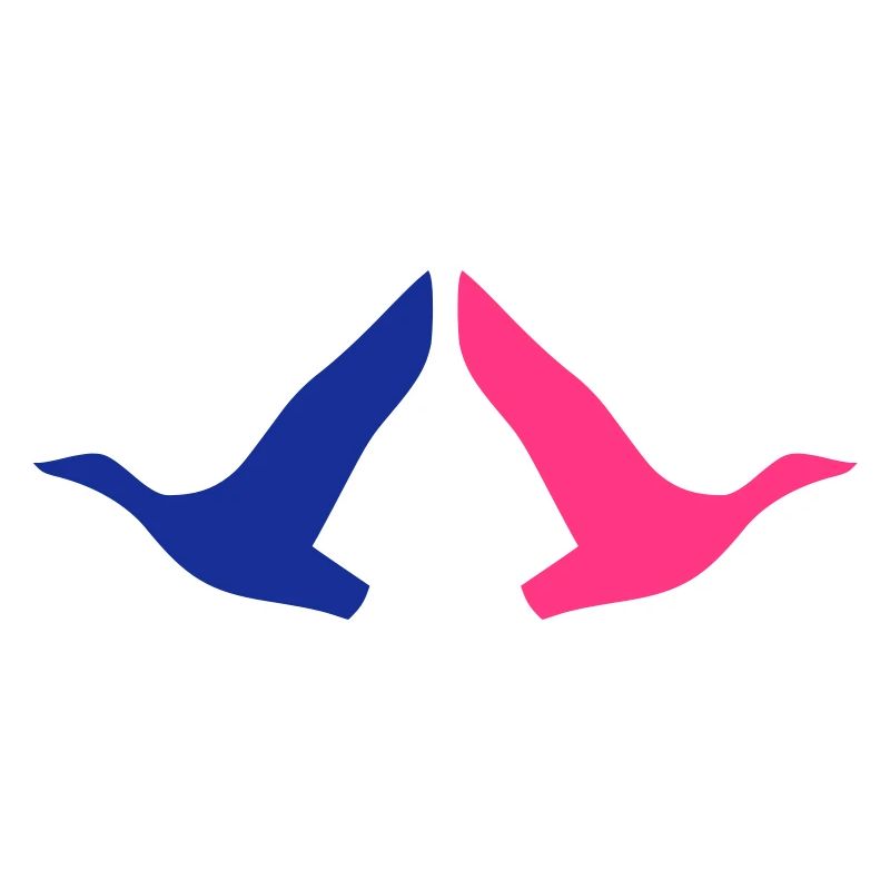 ★ Couleurs de conception modifiables ★ Deux oiseaux en vol