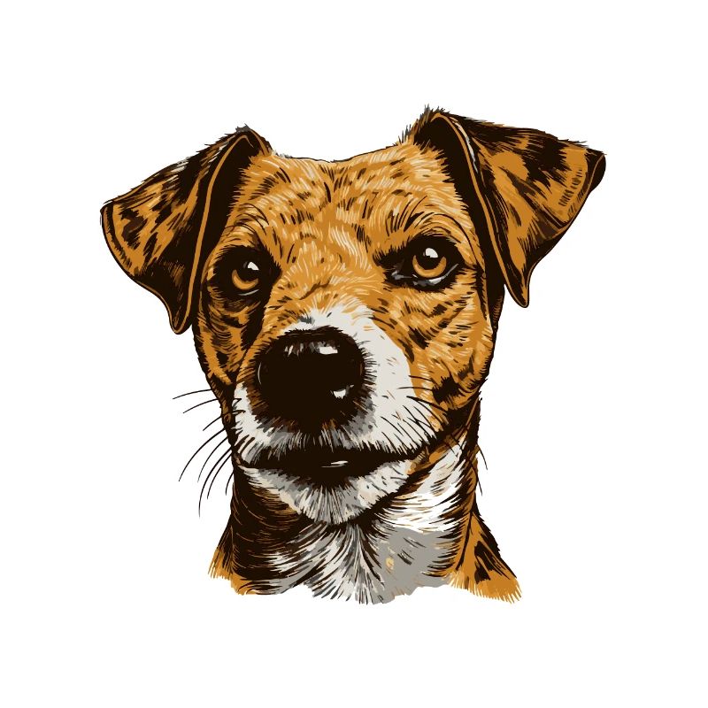 Jack Russel Terrier Dog Head