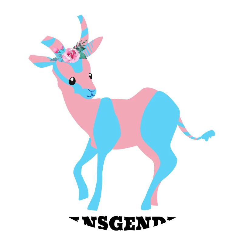 Transgendeer