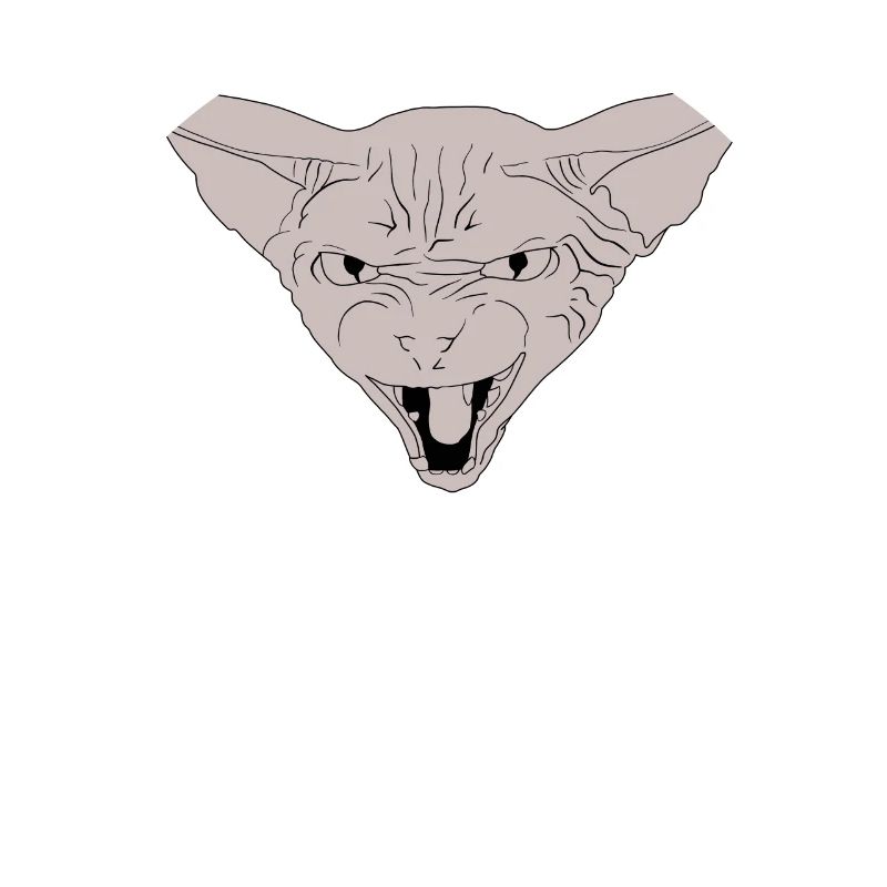 Spitting Devil's Sphinx Cat - Hairless Hangover