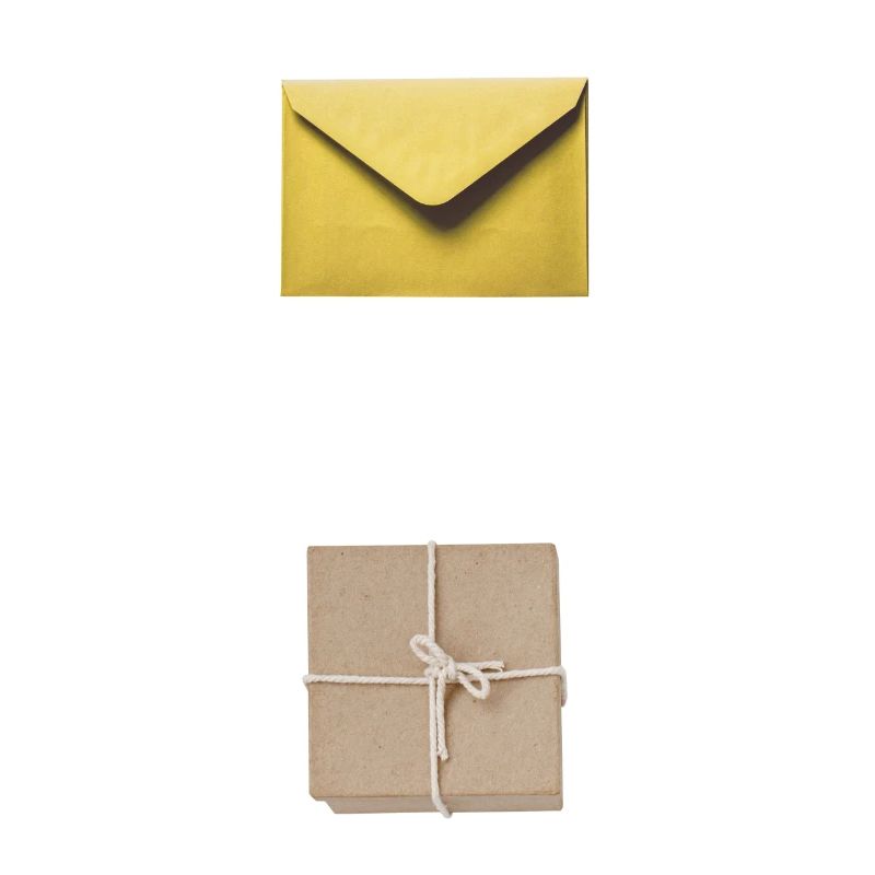 Mail and parcel courier. Workshirt illustration