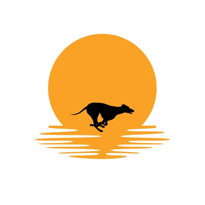 Coucher de Greyhound