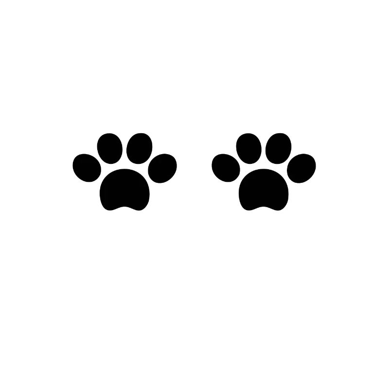 Pattes de chat