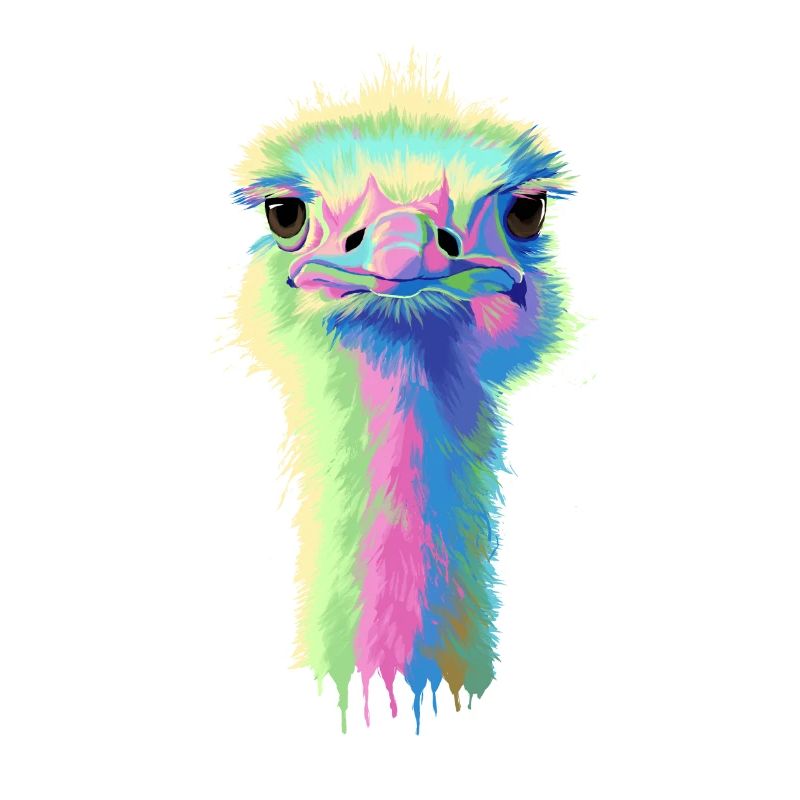 Ostrich Gift Idea Allegedly