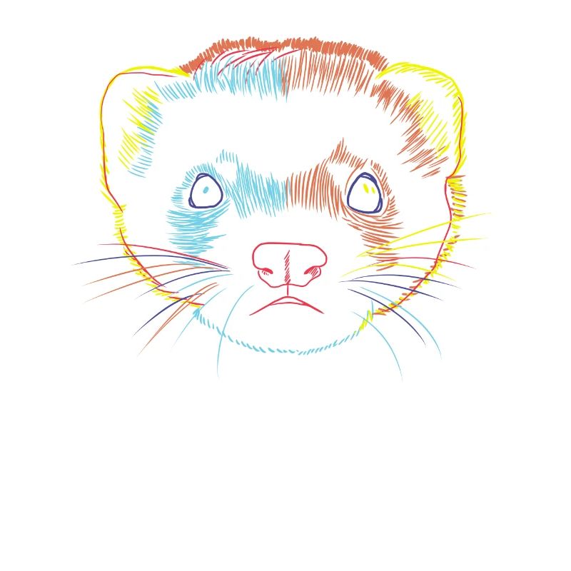 Furets