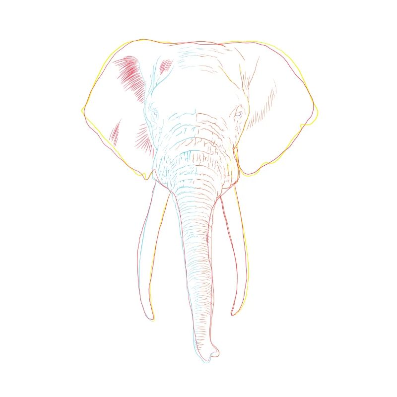 Éléphant