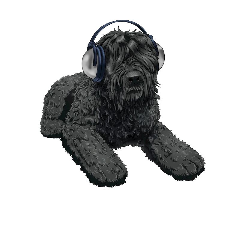 Schwarzer russischer Terrier Hund mit Kopfhörer