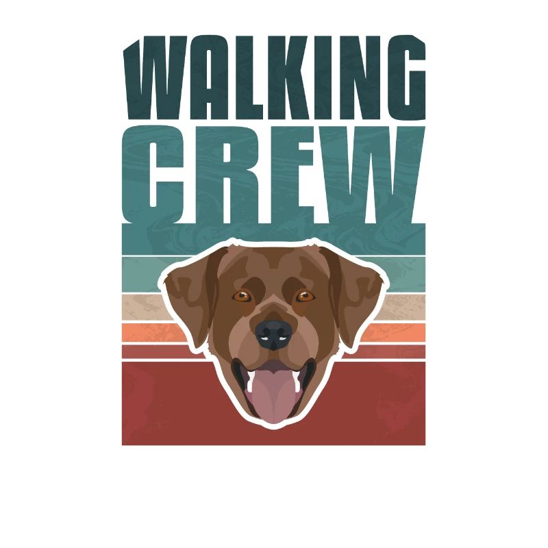 Gassi Crew, Chocolat Labrador, Lab