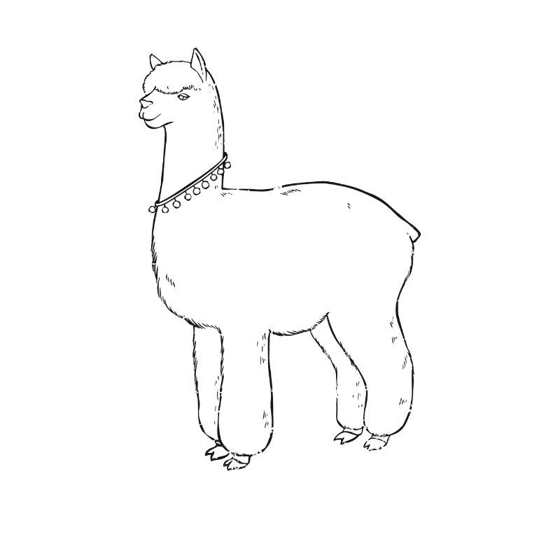Lama, Llama Lover