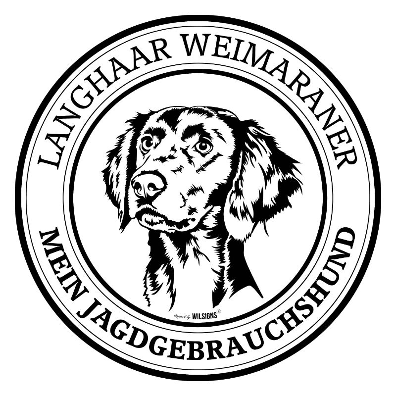 Langhaar Weimaraner Jagdgebrauchshund Wilsigns
