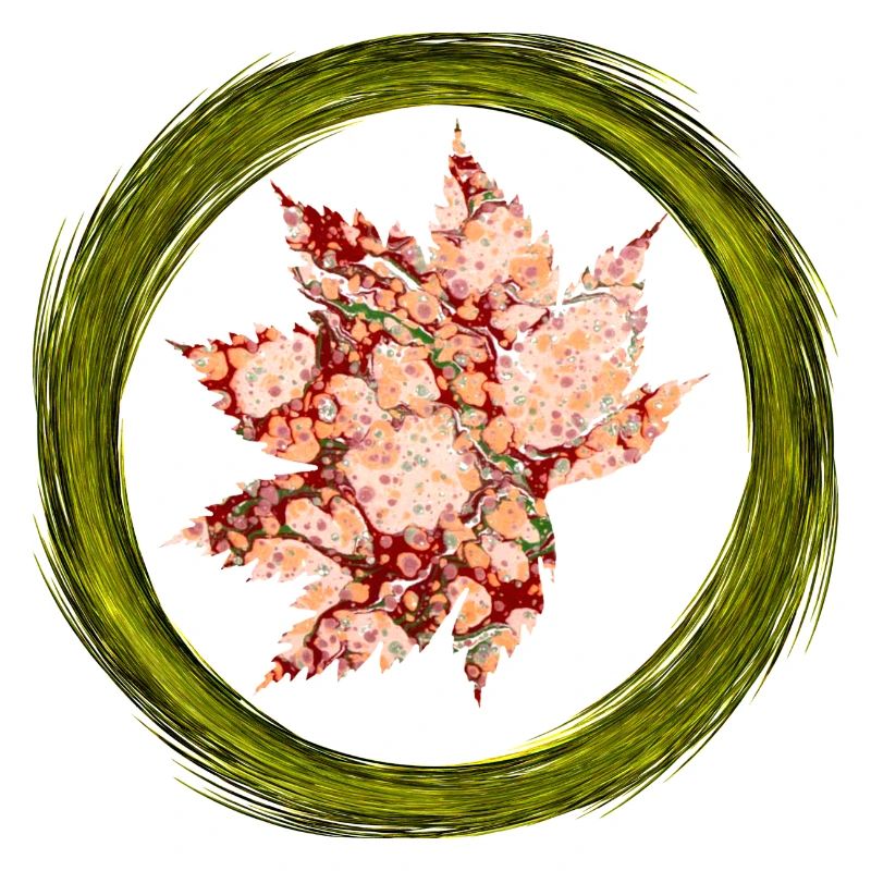 Feuille d’automne E 214