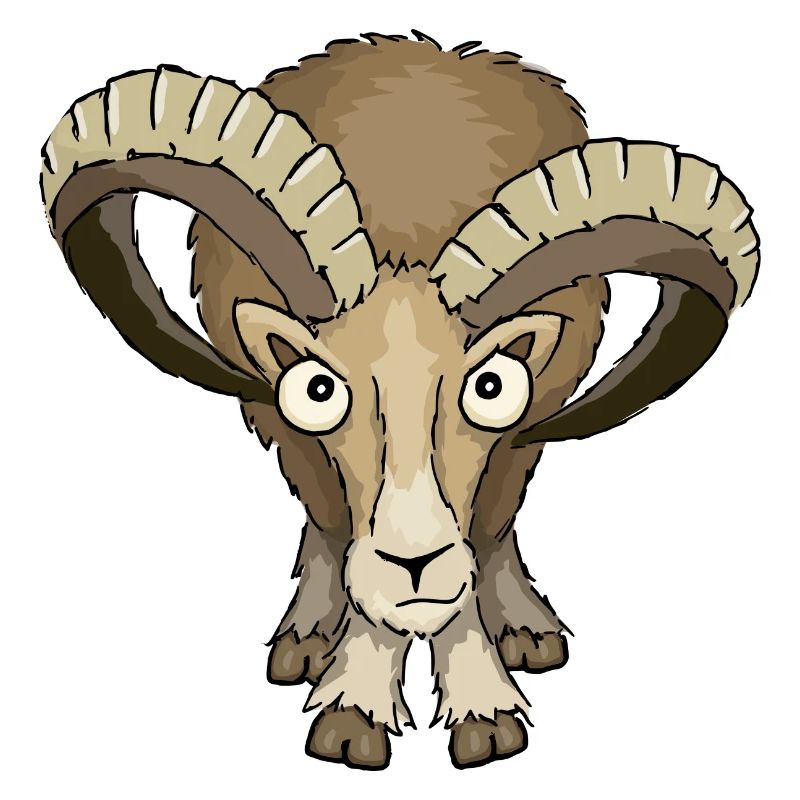 Mouflon ram Stock stare down Aries gift
