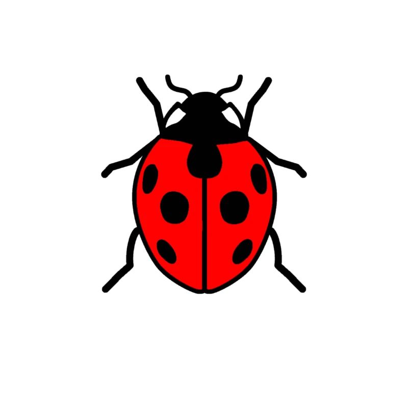 Marienkäfer