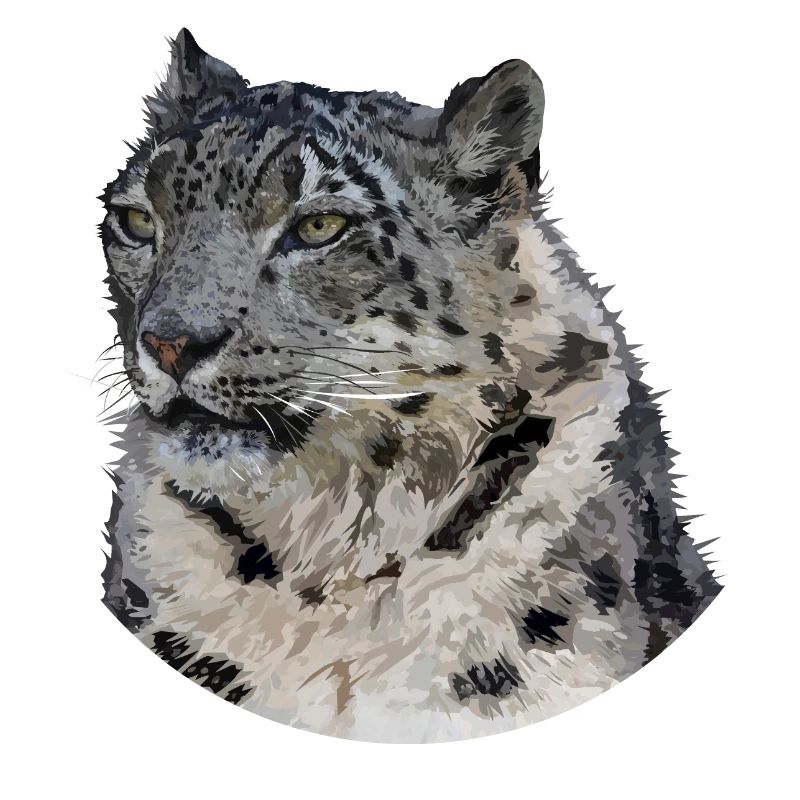 Schneeleopard