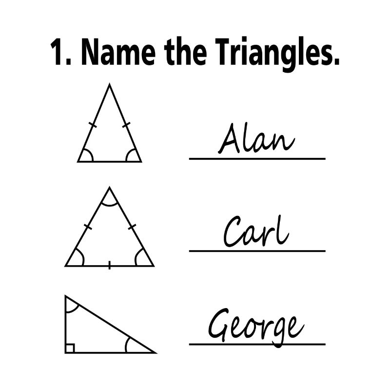 Name the Triangles Mathe Nerd Schule Geschenk
