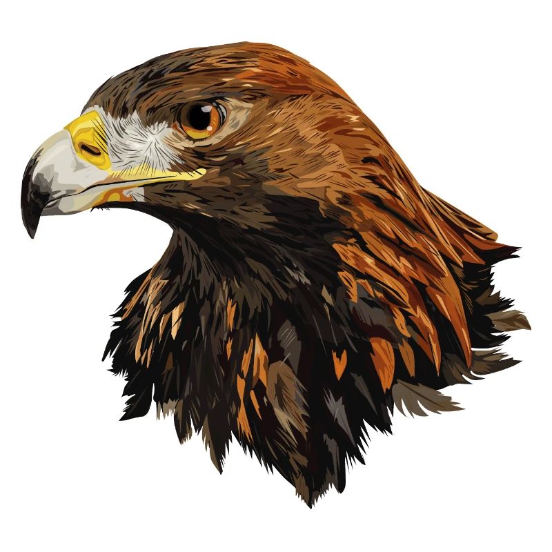 Golden eagle