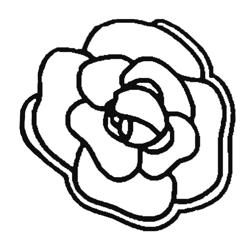 LycheeB croustillant fleur de camélia noir décrit